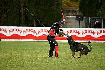 Meiko des Orckis de l`Adret